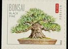 2012 USPS Bonsai Trees Forever Stamps Strip of 5 Mint Scott 4618-4622 — photo 3