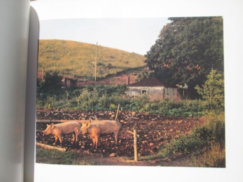American Prospects by Andy Grundberg 1994 Trade Paperback - Imagen 5 de 8