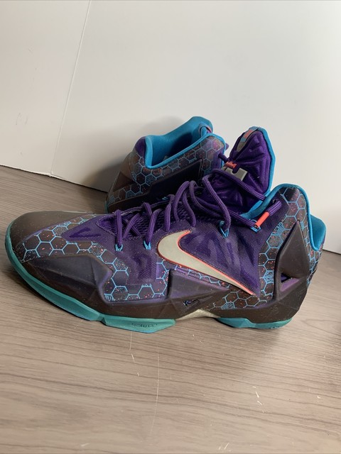 lebron shoes 11