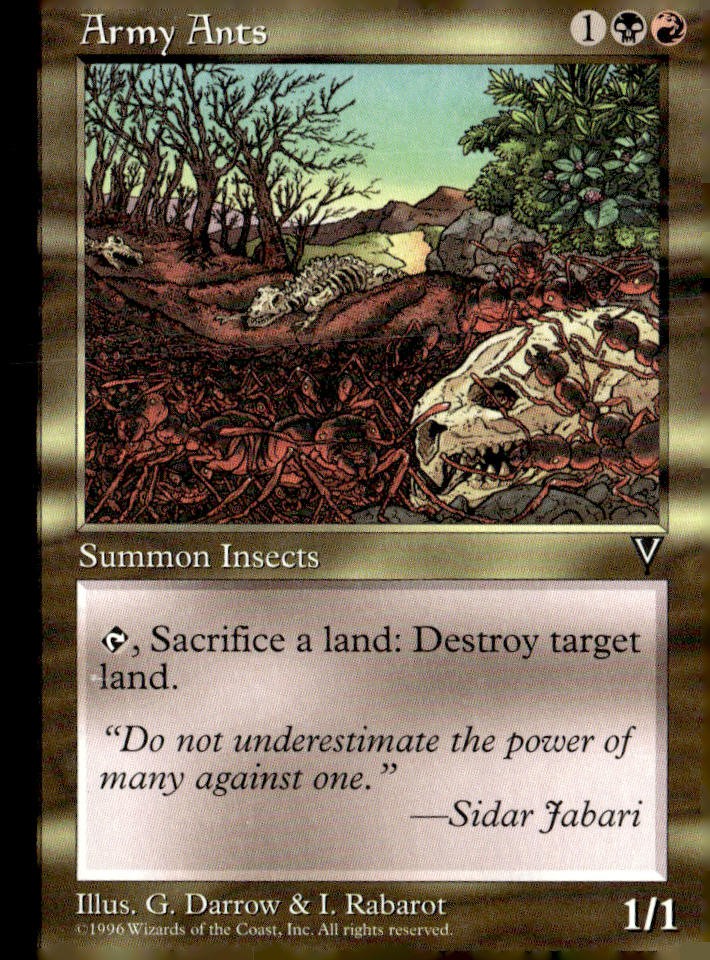 Visions Army Ants