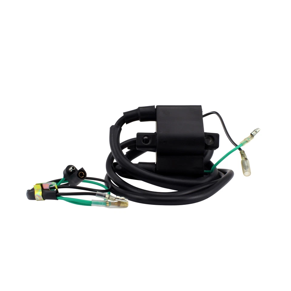 Bobina de encendido para Arctic Cat Bearcat Cheetah Cougar Wildcat 1987-2002 3005-185 Foto 4 de 4