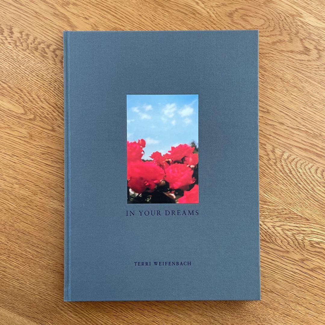 Terri Weifenbach In Your Dreams Photography Photo Book | eBay