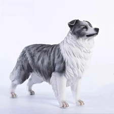 1/6 Scale Border Collie Dog Model Funny Animal Figurine Ornament Collectibles