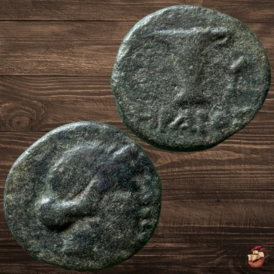 Ancient Greek Coin - Aeolis Kyme (250-190BC) Heraios Magistrate Amazon Kyme#t968