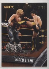 2016 Topps WWE NXT Prospect Bronze 18/50 Hideo Itami #11 0w6