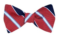 Men's 100 Silk Designer Stripe Self Tie Woven Bowtie- NWT
