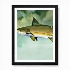 Tiger Shark Storybook Watercolour A Framed Wall Art Poster Canvas Print Picture