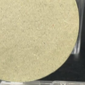 Mario Piranha Plant Menko Super Mario Bros Famicom Card Nintendo 1985 NES Japan