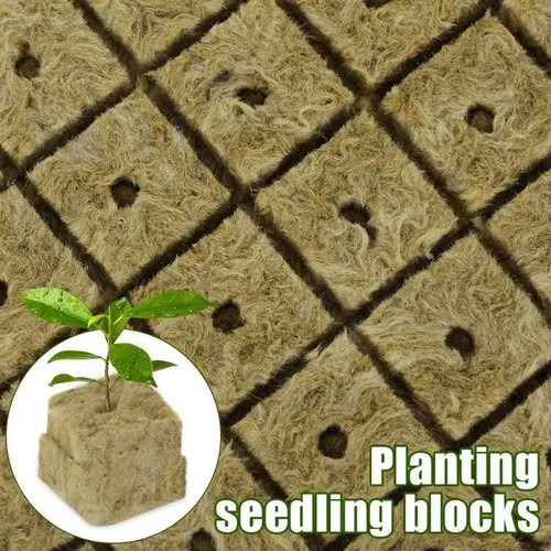 Rock Wool Grow Cubes Seed Starter Plugs Hydroponic Planting Blocks Kit - Picture 11 of 26