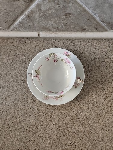 Antique Haviland Limoges Cup And SaucerSchleiger #37 - Picture 3 of 4