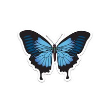 Papilo Ulysses Butterfly Sticker Decal