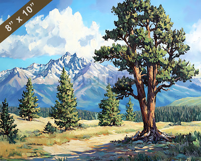 Great Basin bristlecone pines with mountains oil painting 8x10 Print
