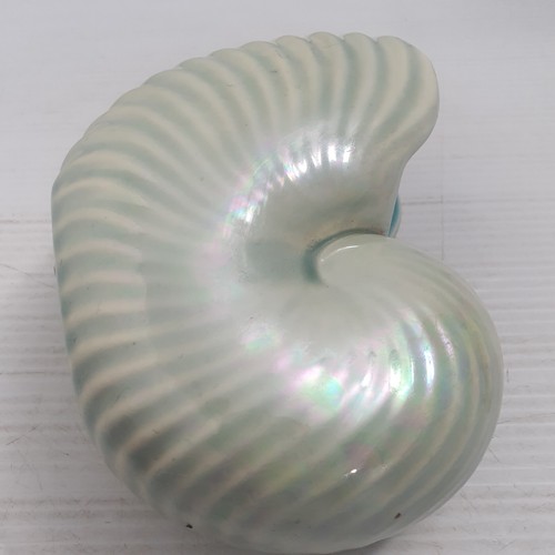 Art Deco Casey Australian Pottery Nautilus Shell Vase Turquoise Green Lustre - Picture 3 of 10