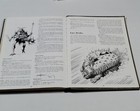 Bild 11 von 12