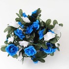 Bild 5 von 8
