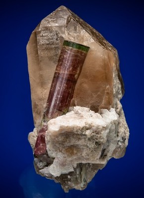 Elbaite on Quartz Himalaya Mine, San Diego Co, California Harris coll 1807-O21
