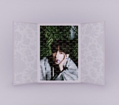 BTS 2022 DALMAJUNG Flip Photo Official Goods PRE ORDER | eBay