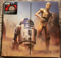 Halex Star Wars C-3po & R2d2 Double Sided Dartboard + 6 Steel Tip Darts Halex Star Wars C-3po & R2d2 Double Sided Dartboard + 6 Steel Tip Darts