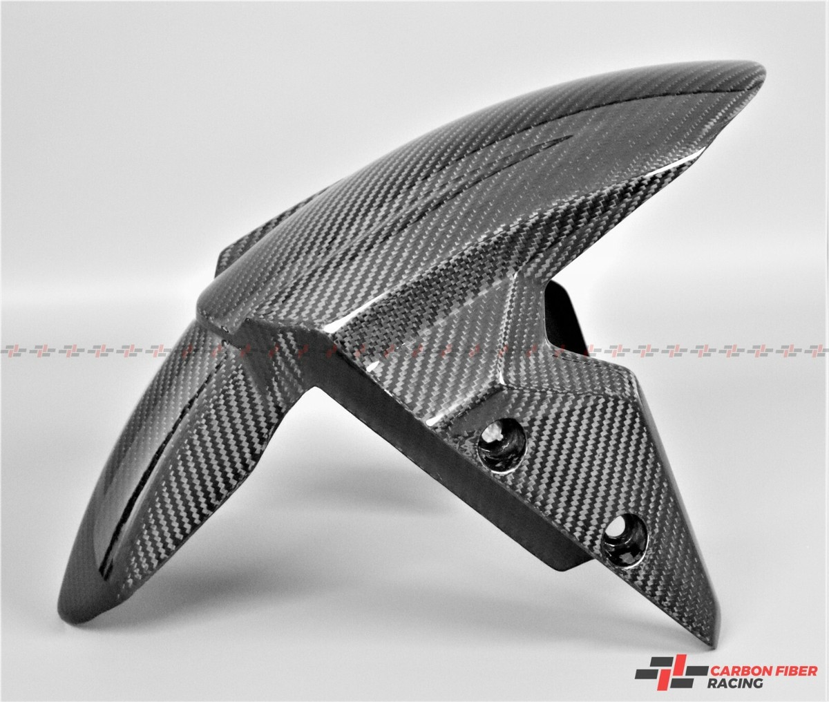2017-2019 Triumph Street Triple 765 R, S Front Fender - 100