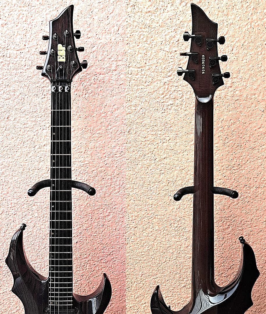 ESP Forest Seymour Duncan SHR-1n TB-6 Floyd Rose Visual-kei Vkei
