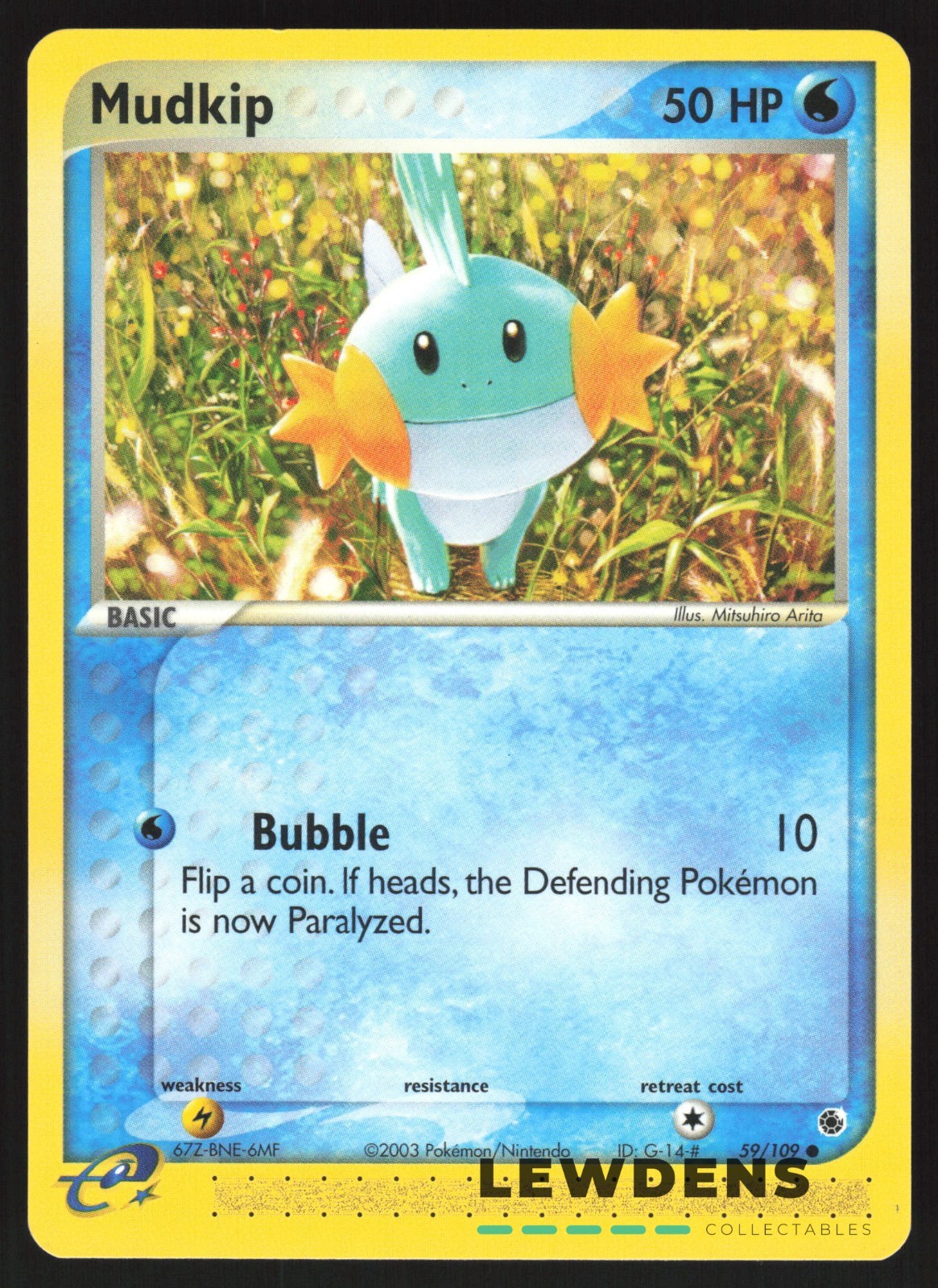 Mudkip