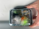 Foto 2 di 7