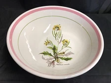 Primula Italy Diplotaxis Muralis PRL8 ~ Large Serving Bowl / Centerpiece Bowl