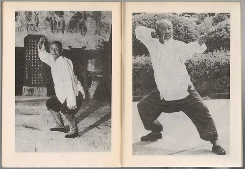 SHAOLIN KUNG-FU, CANNON STRIKES, WUSHU MARTIAL ART, OLD RARE RUSSIAN BOOK, 1991 - Imagen 6 de 6