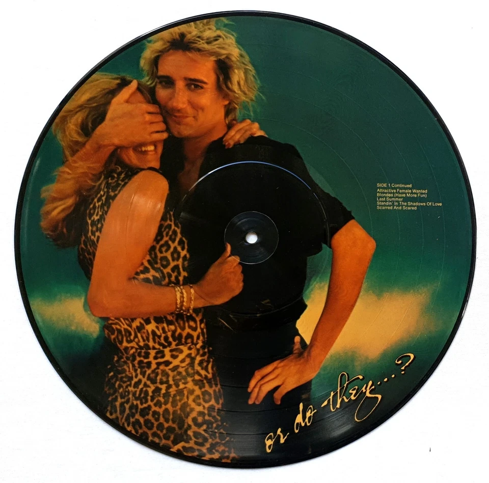 Rod Stewart –Blondes Have More Fun-Picture Disc LP 1978 Warner USA – BSP 3276 - Image 3 of 4