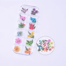 40PCS Real Pressed Dry Mixed flowers leaves collection for craft FCD504 #7