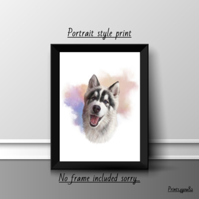 ALASKAN HUSKY HAUSTIER HUND A4 DRUCK BILD POSTER WANDBILD WOHNDEKO UNGERAHMT GESCHENK