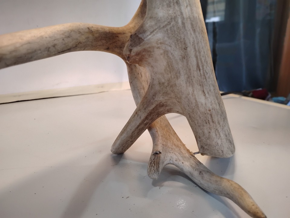 Handmade Real Deer Antler Whitetail Table Lamp, Man Cave, Rustic Cabin