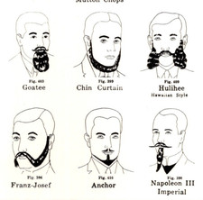 Vintage Postcard Facial Hair Beard Types Training Chart Reference