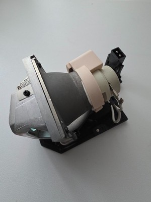 Beamer-Ersatzlampe für OPTOMA SP.8EG01GC01 BL-FP230D mit Gehäuse