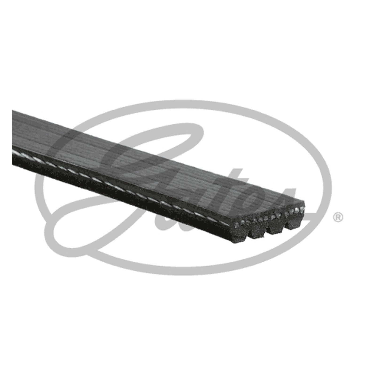 For Mercedes AMG GT C190 GT Genuine Gates V-Ribbed Belt | eBay