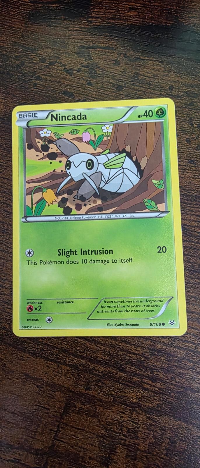Nincada 9/108 Common Roaring Skies Pokemon Lightly Played