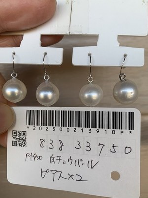 NEU Pt900 Platin 900 weiße Südseeperlen Ohrhänger 10,5-11 mm (links)