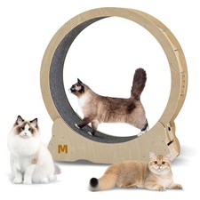 Cat Exercise Wheel for Indoor Cats Treadmill, Cat Running Wheel with Carpeted...