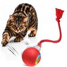 Interactive Cat Ball Toy: LED Lights Bird Chirps for Indoor Play