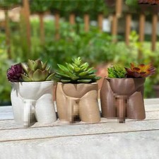 Flower Plant Pot Penis Body Resin Planters Garden Funny Sculpture Decor Gift