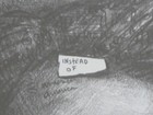Bild 13 von 19