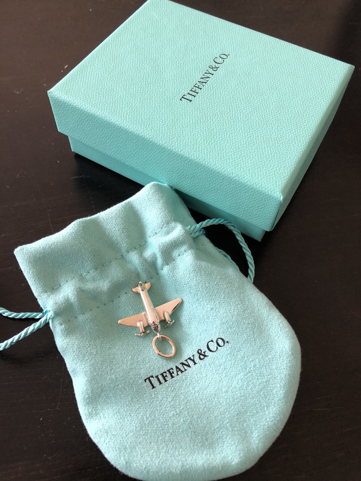 RARE Tiffany & Co Silver Airplane Plane Charm Pendant Gem