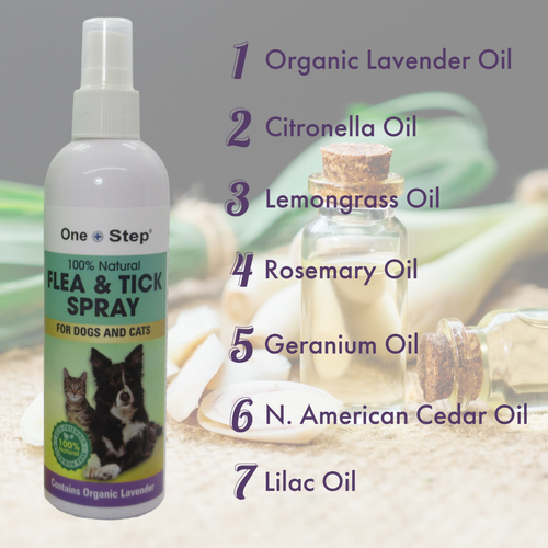 Flea & Tick 250ml Shampoo + 250ml Spray Dogs & Cats 100% Natural Allergen Free - Picture 2 of 9