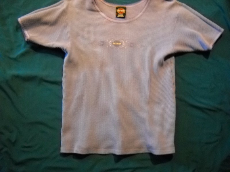 Harley Davidson T-Shirt,Ladies M, HOLLINGSWORTH H-D, ST. AUGUSTINE, FL (item#13)