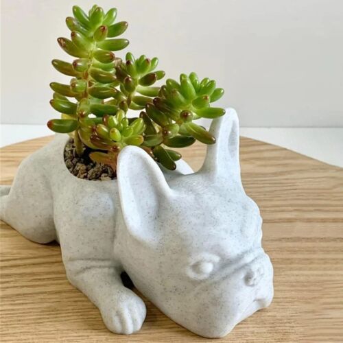 French Bulldog Resin Succulent Planter Pot – Cute Dog Flower Pot Decor - Planter