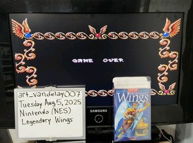 Legendary Wings - (NES, 1988) *VGC w/ Manual + Case Protector* Tested! READ!!!