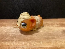 Authentic Littlest Pet Shop LPS Portable Pets Guinea Pig # 213 Cute Toy