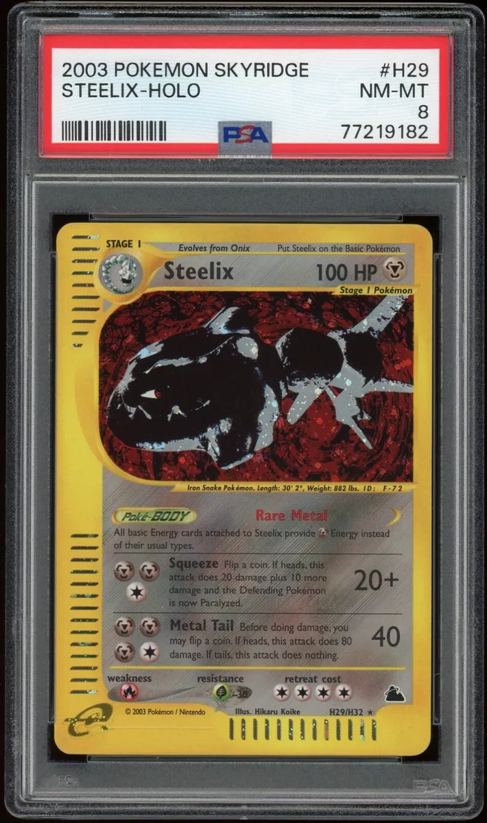 Steelix, Skyridge