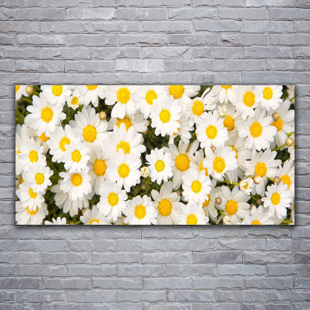 Impression sur verre Marguerite 120x60 pour cacher un mur abime avec Tulup
