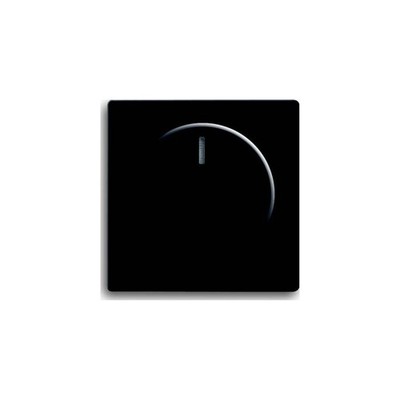 Busch-Jaeger Zentralscheibe sw mt für Drehdimmer 6540-885-102